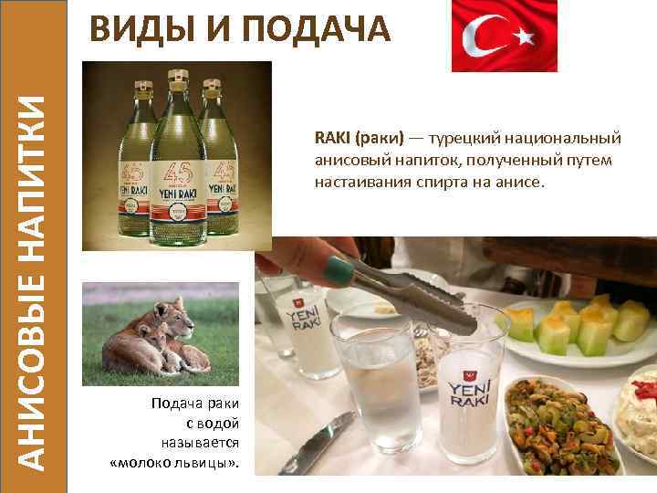 АНИСОВЫЕ НАПИТКИ ВИДЫ И ПОДАЧА RAKI (раки) — турецкий национальный анисовый напиток, полученный путем