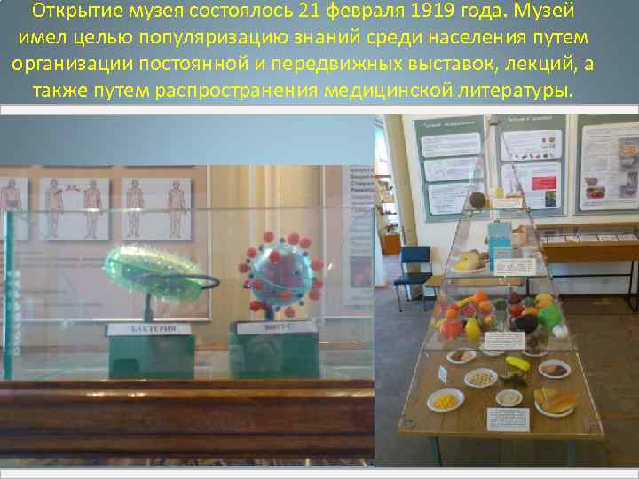 Открытие музея состоялось 21 февраля 1919 года. Музей имел целью популяризацию знаний среди населения