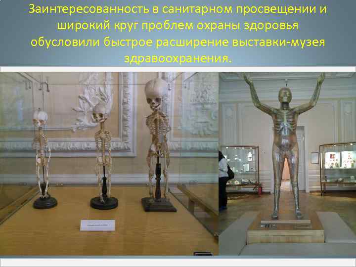 Заинтересованность в санитарном просвещении и широкий круг проблем охраны здоровья обусловили быстрое расширение выставки-музея