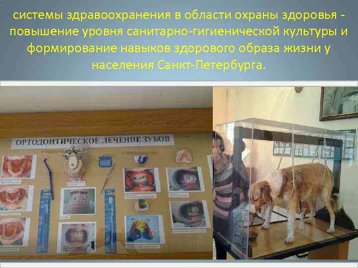 системы здравоохранения в области охраны здоровья повышение уровня санитарно-гигиенической культуры и формирование навыков здорового