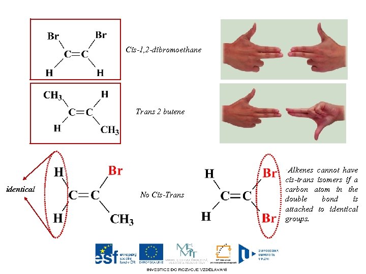 Cis-1, 2 -dibromoethane Trans 2 butene identical No Cis-Trans • Alkenes cannot have cis-trans