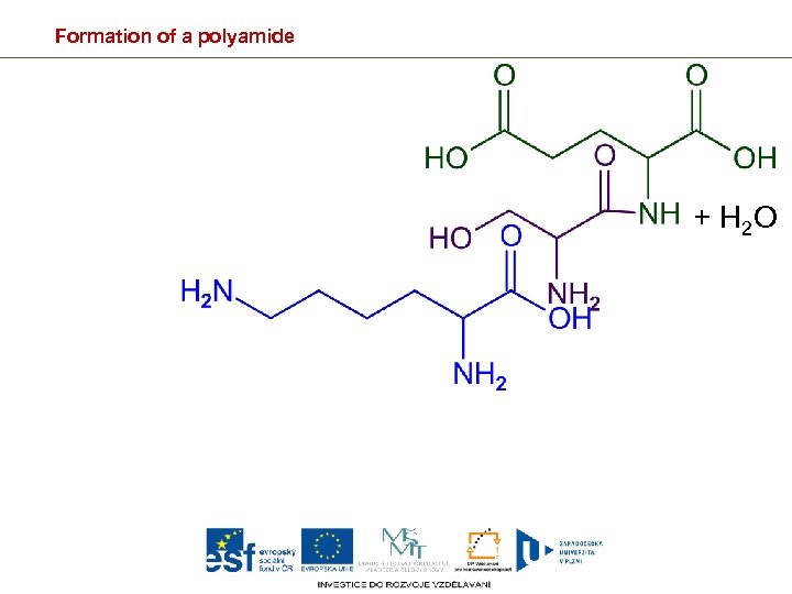 Formation of a polyamide + H 2 O 