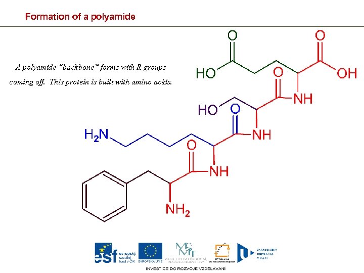 Formation of a polyamide A polyamide “backbone” forms with R groups coming off. This