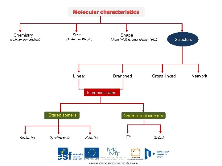 Molecular characteristics Size Chemistry (polymer composition) Shape (Molecular Weight) Linear (chain twisting, entanglement etc.