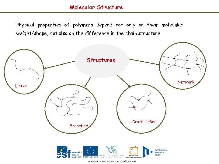 Molecular Structure Physical properties of polymers depend not only on their molecular weight/shape, but