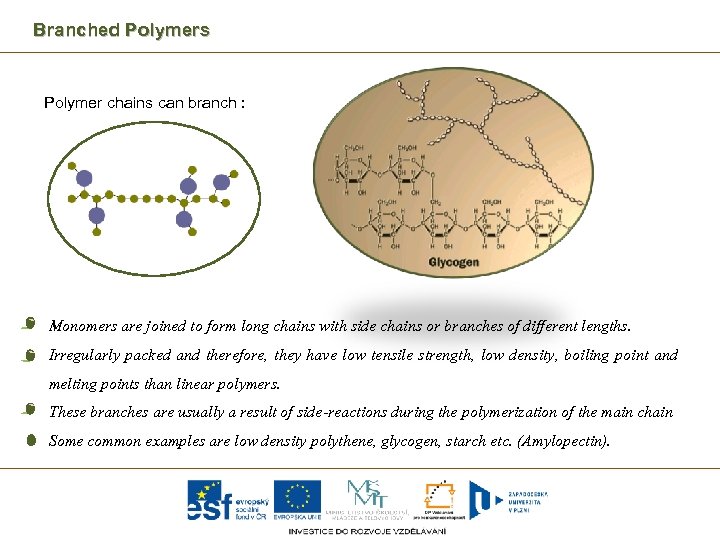 Branched Polymers Polymer chains can branch : Monomers are joined to form long chains