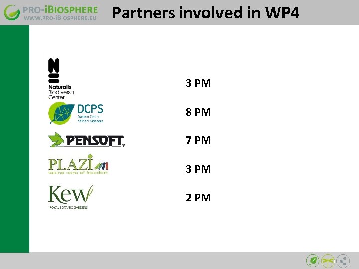 Partners involved in WP 4 3 PM 8 PM 7 PM 3 PM 2