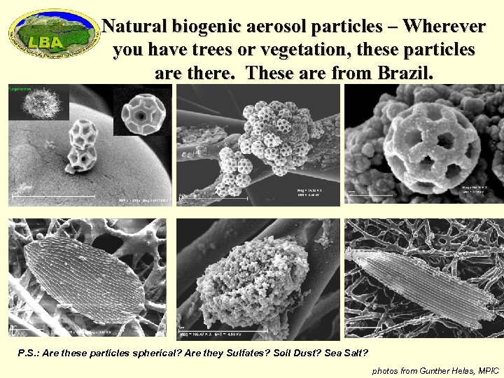 Natural biogenic aerosol particles – Wherever you have trees or vegetation, these particles are