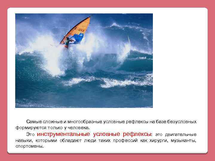 Самые сложные и многообразные условные рефлексы на базе безусловных формируются только у человека. Это