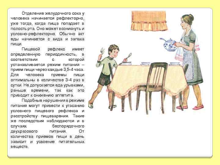 Отделение желудочного сока у человека начинается рефлекторно, уже тогда, когда пища попадает в полость