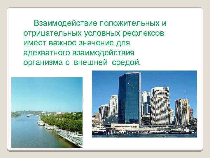 Взаимодействие положительных и отрицательных условных рефлексов имеет важное значение для адекватного взаимодействия организма с