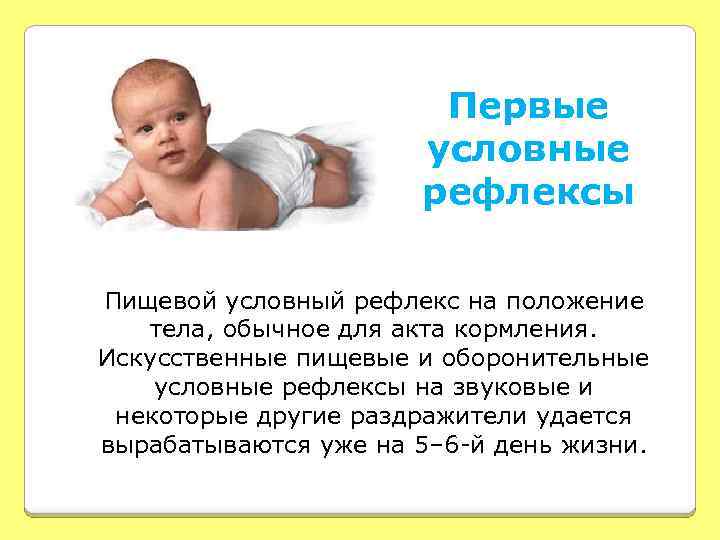 Первые условные рефлексы Пищевой условный рефлекс на положение тела, обычное для акта кормления. Искусственные