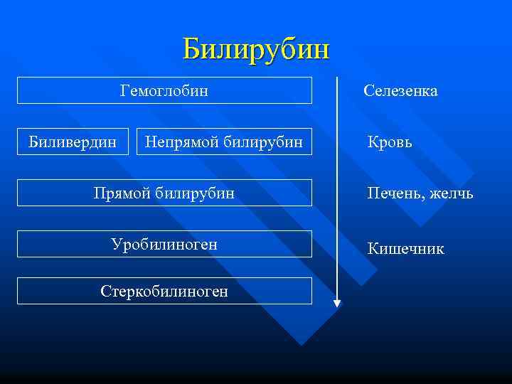 Билирубин Гемоглобин Биливердин Непрямой билирубин Прямой билирубин Уробилиноген Стеркобилиноген Селезенка Кровь Печень, желчь Кишечник