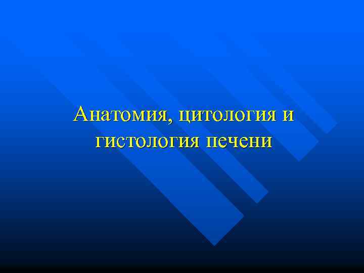 Анатомия, цитология и гистология печени 