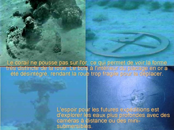 Le corail ne pousse pas sur l'or, ce qui permet de voir la forme