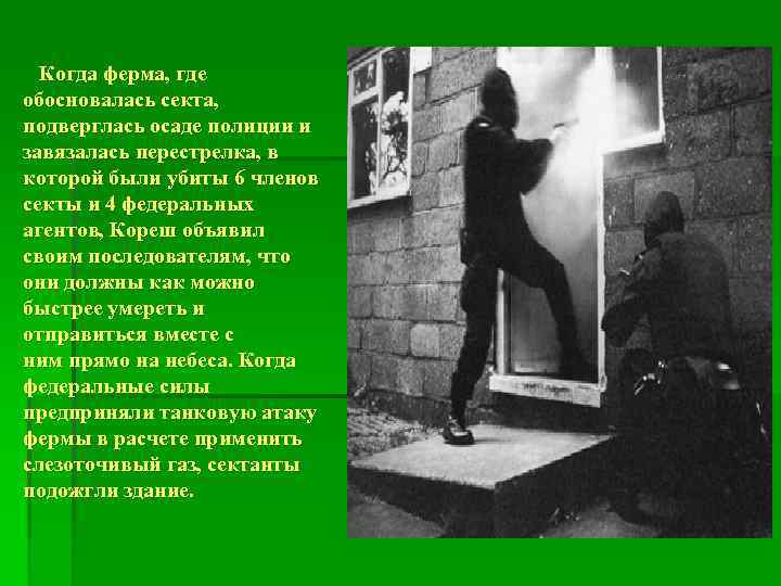 Когда ферма, где обосновалась секта, подверглась осаде полиции и завязалась перестрелка, в которой были