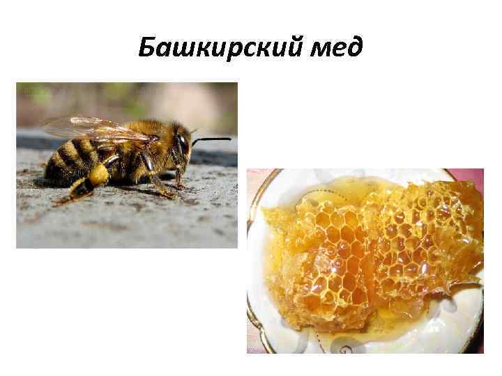 Башкирский мед 