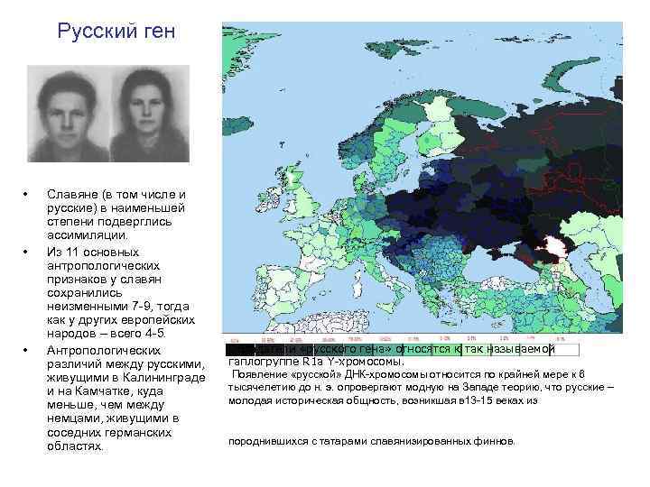 Русский ген • • • Cлавяне (в том числе и русские) в наименьшей степени