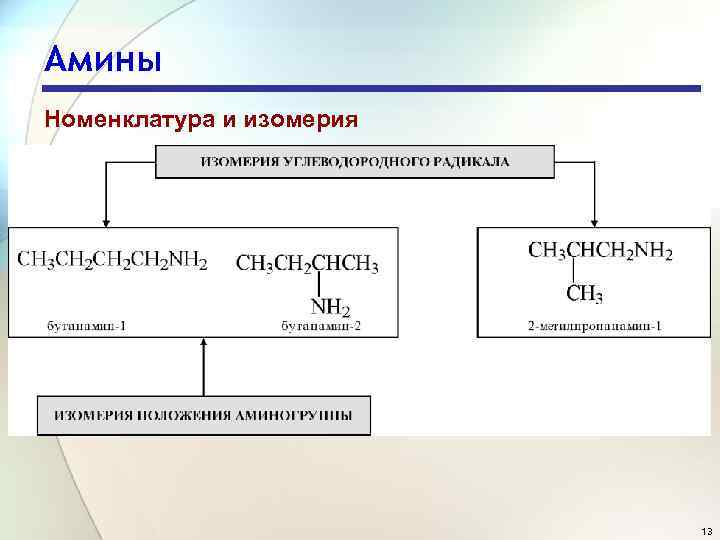 Амины Номенклатура и изомерия 13 