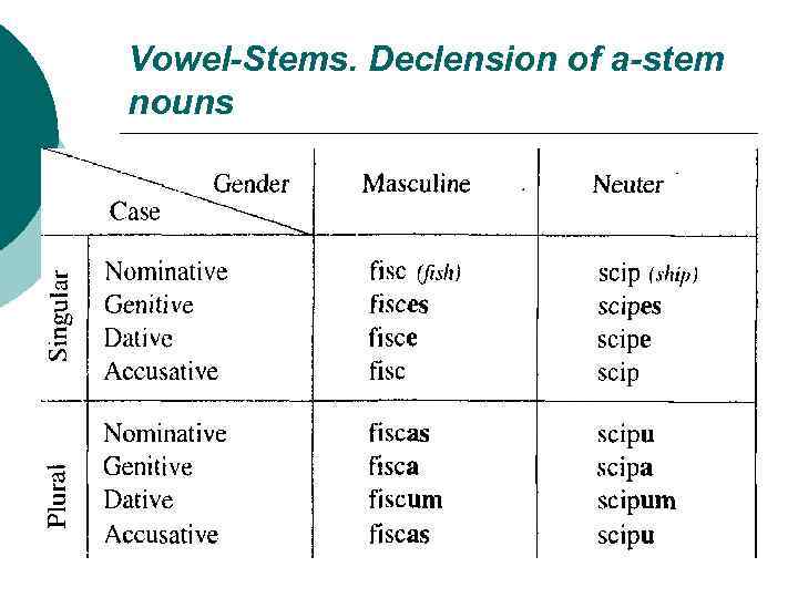 Vowel-Stems. Declension of a-stem nouns 