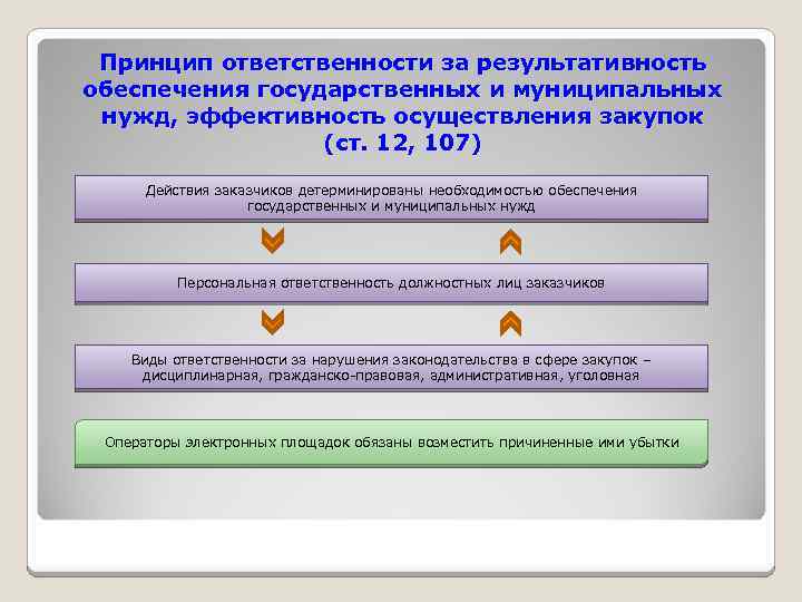Принцип ответственности за результативность обеспечения государственных и муниципальных нужд, эффективность осуществления закупок (ст. 12,