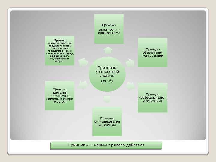 Принцип открытости и прозрачности Принцип ответственности за результативность обеспечения государственных и муниципальных нужд, эффективность
