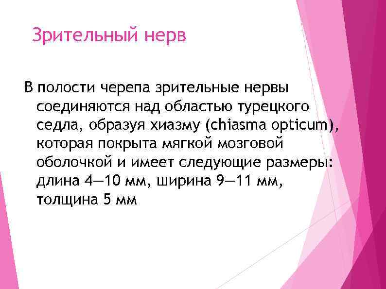 Зрительный нерв В полости черепа зрительные нервы соединяются над областью турецкого седла, образуя хиазму