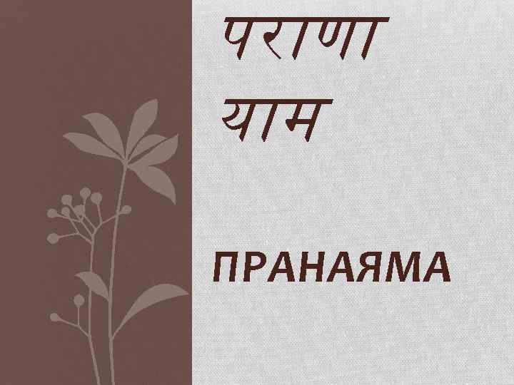 पर ण य म ПРАНАЯМА 