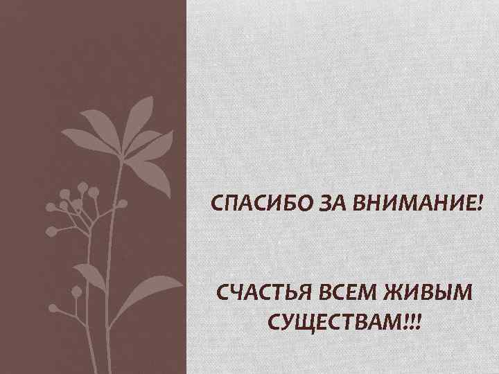 СПАСИБО ЗА ВНИМАНИЕ! СЧАСТЬЯ ВСЕМ ЖИВЫМ СУЩЕСТВАМ!!! 