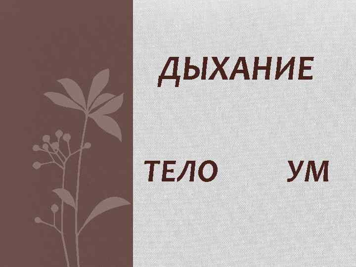 ДЫХАНИЕ ТЕЛО УМ 