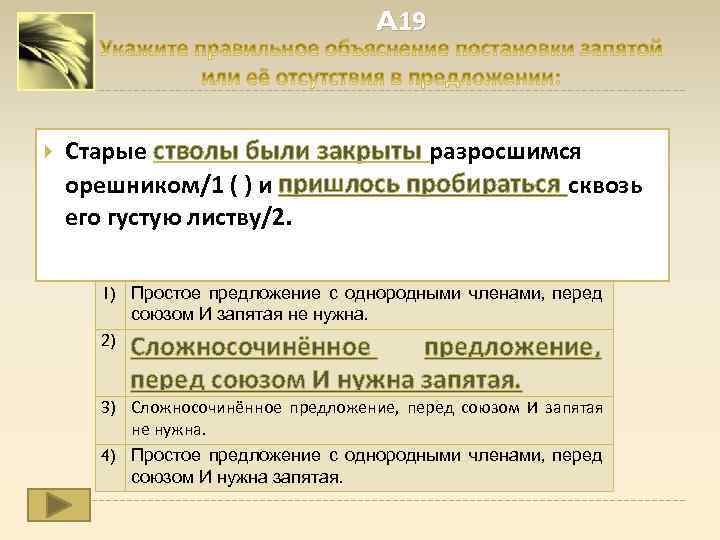 A 19 Старые стволы были закрыты разросшимся орешником/1 ( ) и пришлось пробираться сквозь