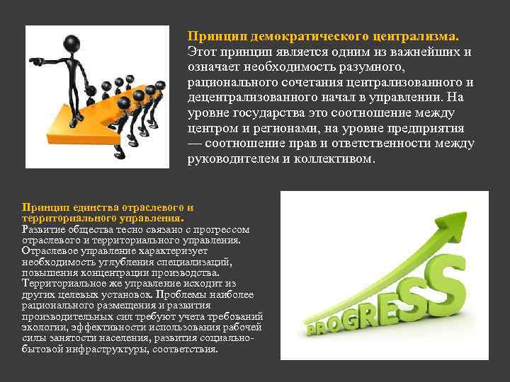 Принцип демократического централизма. Этот принцип является одним из важнейших и означает необходимость разумного, рационального