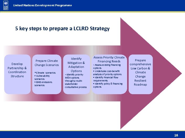 5 key steps to prepare a LCLRD Strategy Develop Partnership & Coordination Structure Prepare
