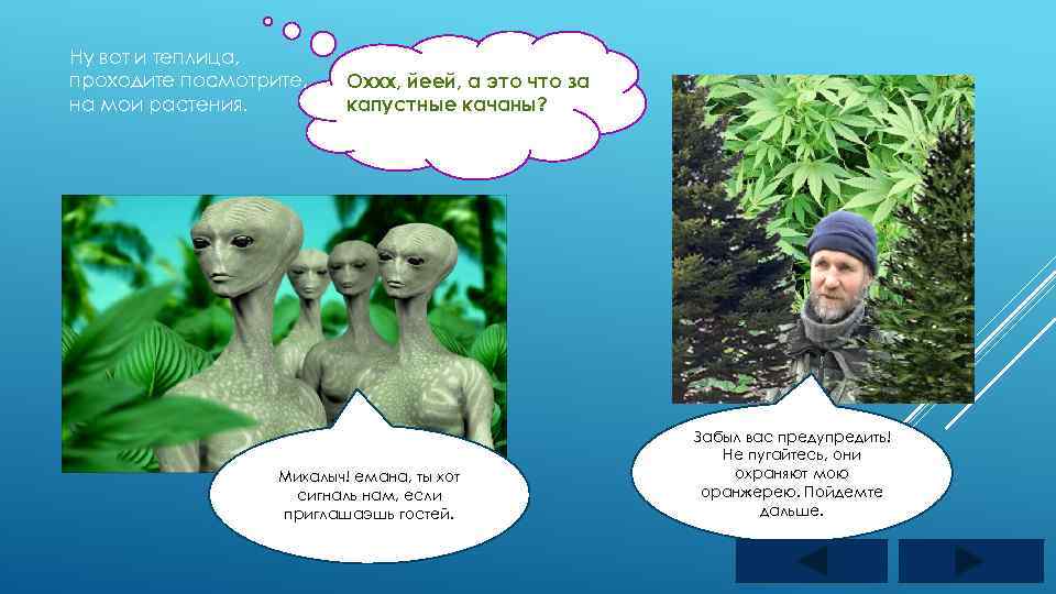 Ну вот и теплица, проходите посмотрите, на мои растения. Оххх, йеей, а это что