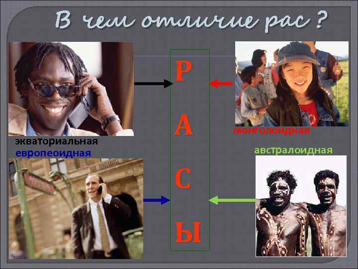 В чем отличие рас ? Р экваториальная европеоидная А С Ы монголоидная австралоидная 