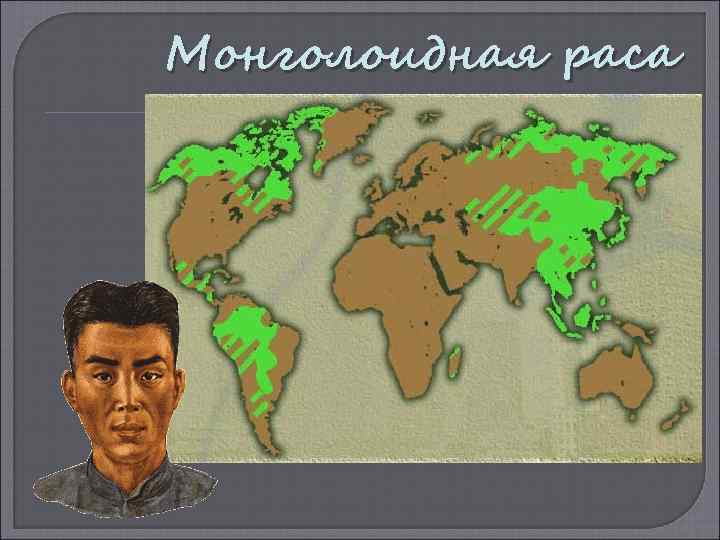 Монголоидная раса 