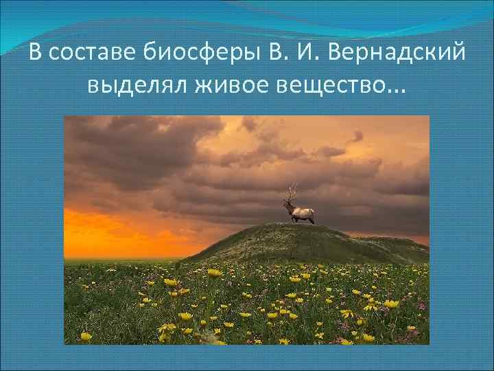 В составе биосферы В. И. Вернадский выделял живое вещество. . . 