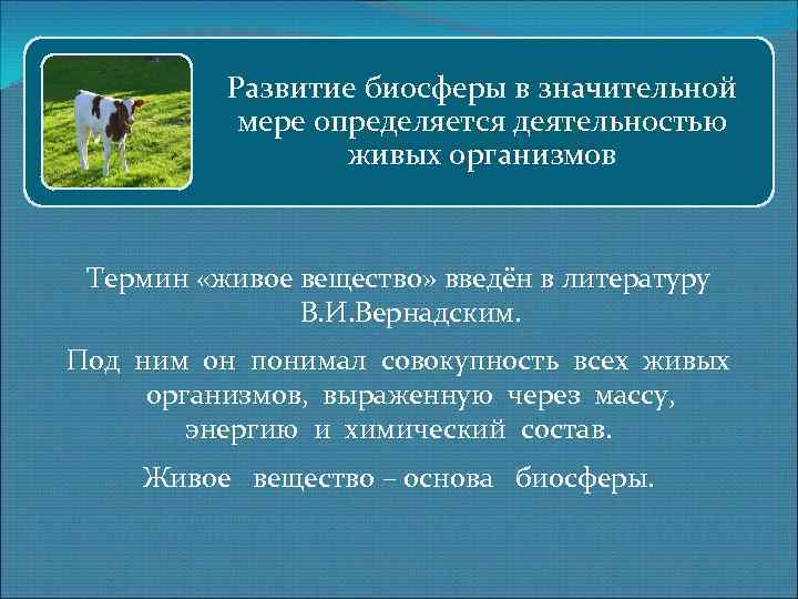 Развитие биосферы в значительной мере определяется деятельностью живых организмов Термин «живое вещество» введён в