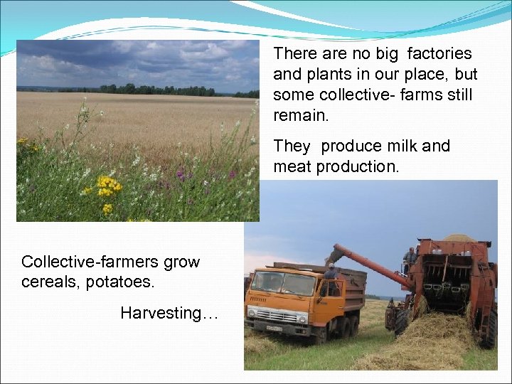 There are no big factories and plants in our place, but some collective- farms
