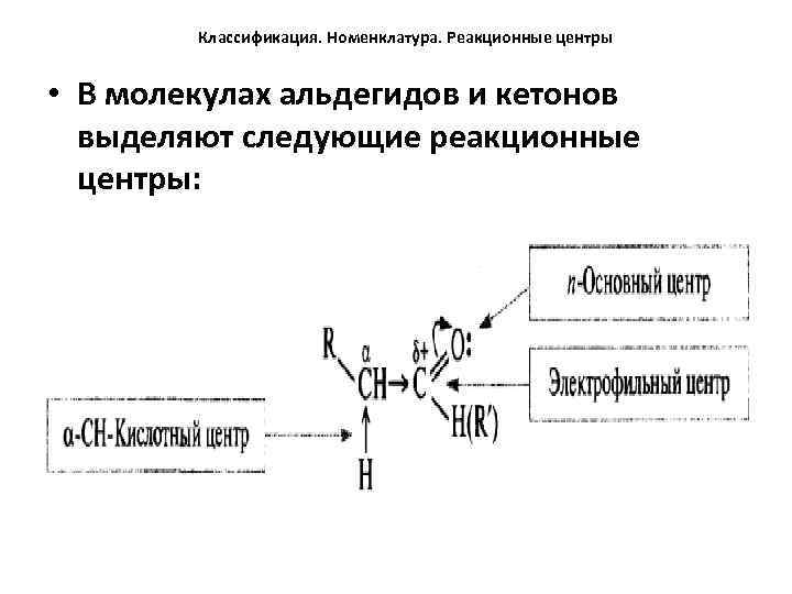 Классификация. Номенклатура. Реакционные центры • В молекулах альдегидов и кетонов выделяют следующие реакционные центры: