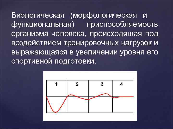 Биологическая (морфологическая и функциональная) приспособляемость организма человека, происходящая под воздействием тренировочных нагрузок и выражающаяся