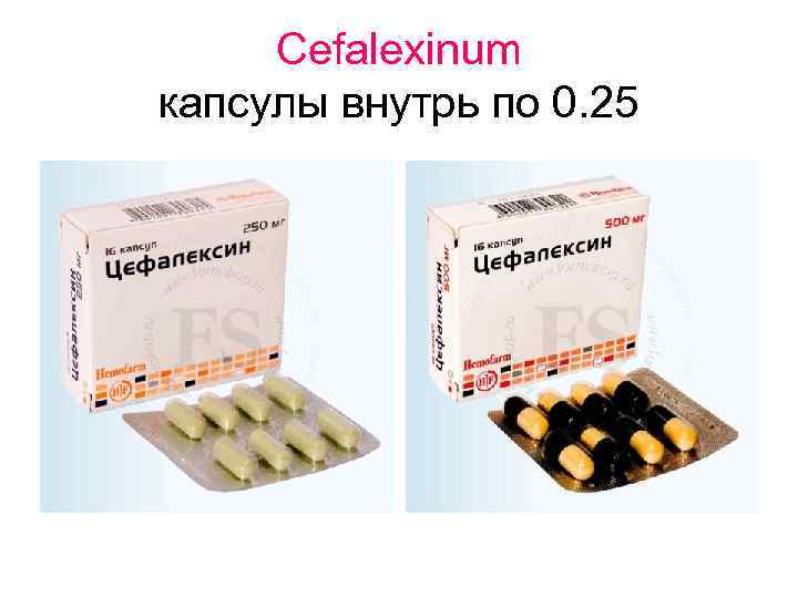 Cefalexinum капсулы внутрь по 0. 25 