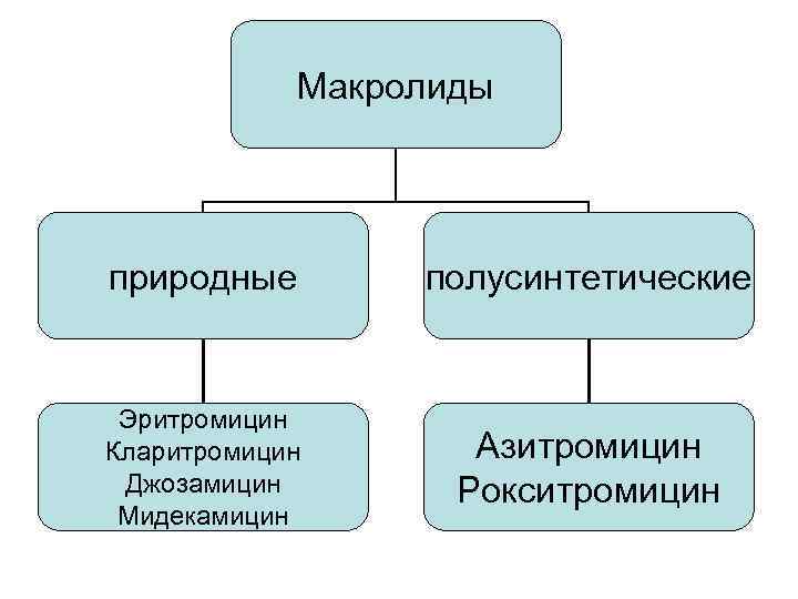 Макролиды природные полусинтетические Эритромицин Кларитромицин Джозамицин Мидекамицин Азитромицин Рокситромицин 