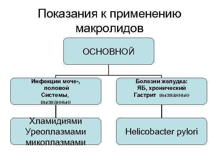 Показания к применению макролидов ОСНОВНОЙ Инфекции моче-, половой Системы, вызванные Хламидиями Уреоплазмами микоплазмами Болезни