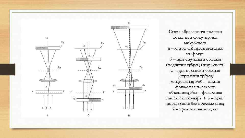 Схема хода лучей в биологическом микроскопе при изучении кристаллизации капли раствора соли