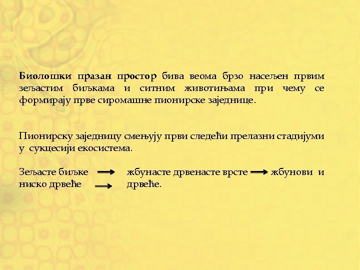 Биолошки празан простор бива веома брзо насељен првим зељастим биљкама и ситним животињама при