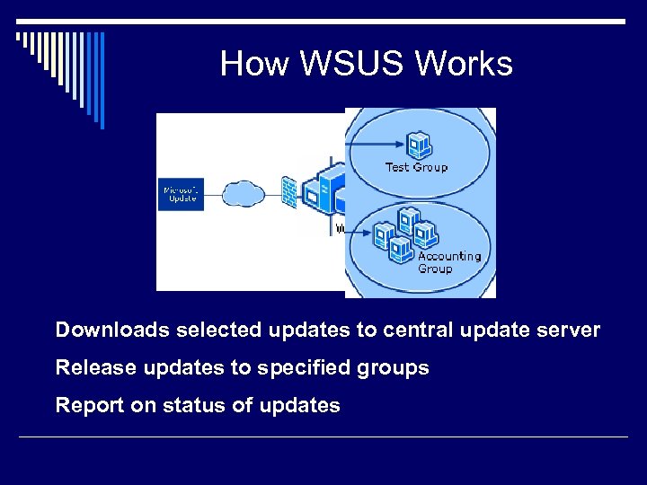 How WSUS Works Downloads selected updates to central update server Release updates to specified