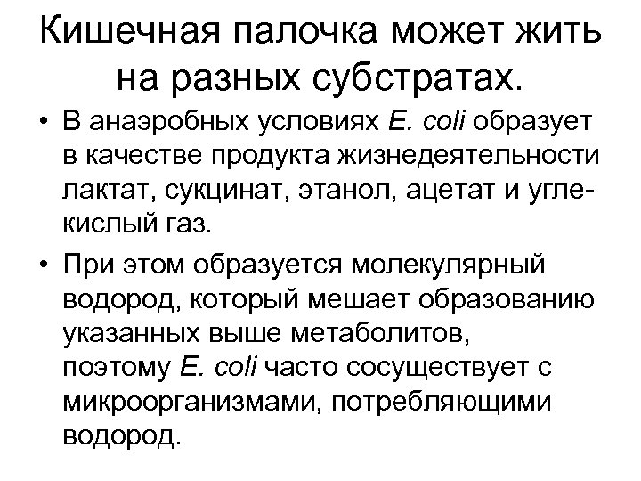 Кишечная палочка может жить на разных субстратах. • В анаэробных условиях E. coli образует