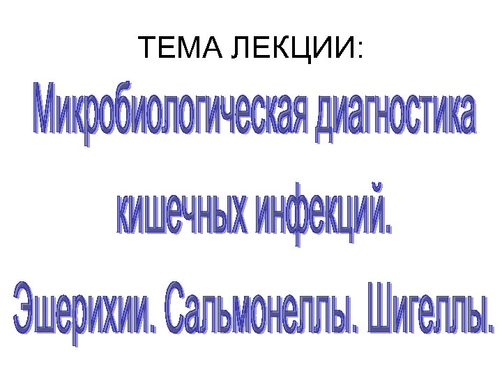 ТЕМА ЛЕКЦИИ: 