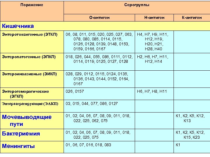 Поражение Серогруппы О-антиген Н-антиген Кишечника Энтеротоксигенные (ЭТКП) 06, 08, 011, 015, 020, 025, 027,